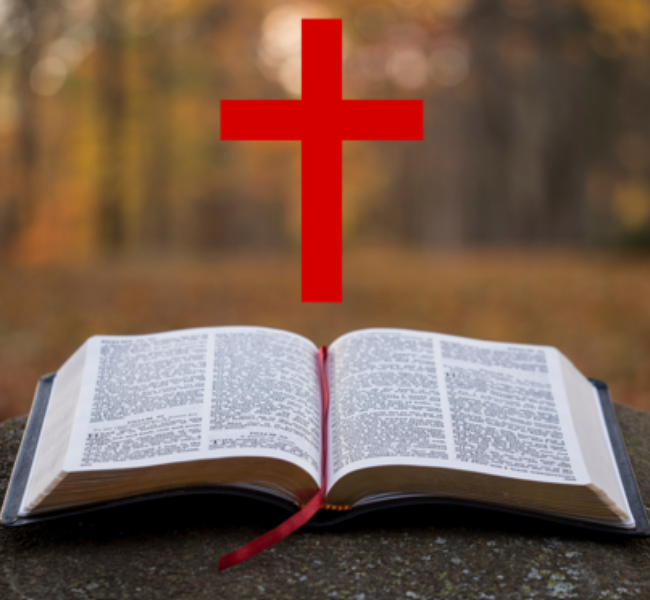 Holy Bible blasted as 'bigoted document': Equality Act 'explicitly targets' Scripture